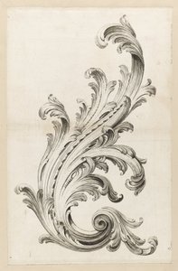 Acanthus Yaprağı Tasarımı